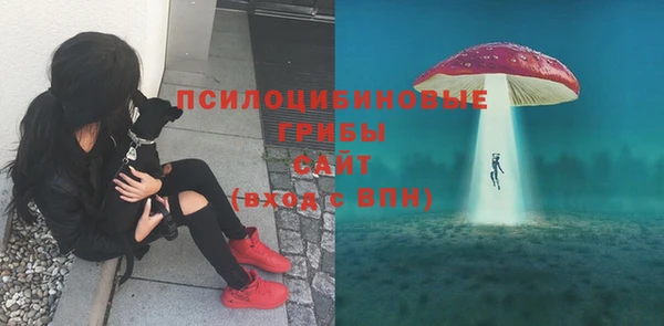 тгк Арсеньев