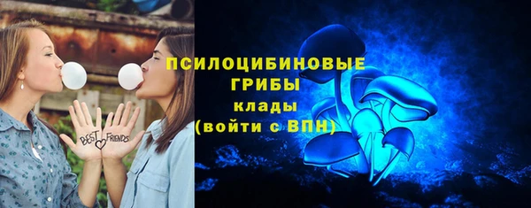 тгк Осташков
