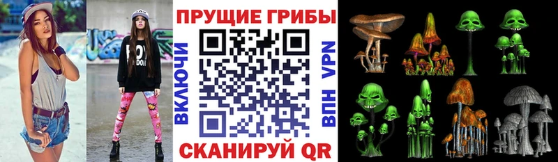 Галлюциногенные грибы прущие грибы  продажа наркотиков  Белоярский 